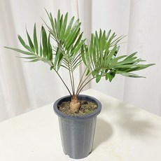 a9efde960f41015e23b9b93be3a18e89337d3f6b029c5410f02c2ccc8ec6.jpg