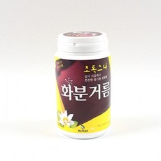 그린g-2000