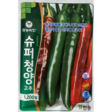 고추 씨앗 종자 슈퍼청양 1200립/ 흰가루병에 강 대과종 절간이 짧아 수확량 우수, 1개