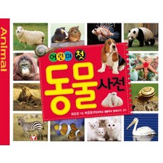 어린이 첫 동물 사전, 글송이, 어린이 첫 사전 시리즈