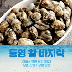 다이버바지락