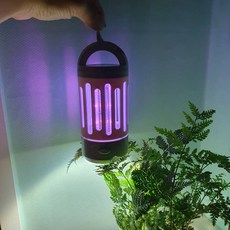 추천6 포충기날파리