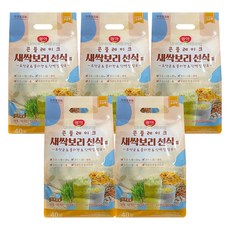 광야식품 콘플레이크 새싹보리 선식 든든한 간식, 5개, 40개입, 20g