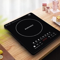 미니인덕션 220V 휴대용 차박 캠핑 전기레인지