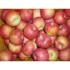 주왕산털보네 하늘사과, 털보네사과 가정용 꿀사과 9kg 내외 (흠과), 9kg내외(8~9kg)