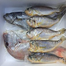 추천8 이순신수산