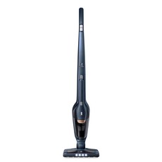 일렉트로룩스에르고라피도