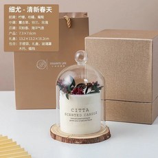캔들유리돔