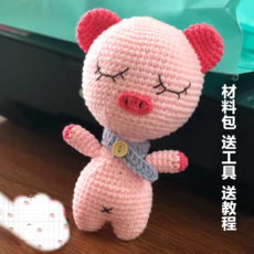 해외발송 [diy뜨개질 키트]수제 DIY 크로 셰 뜨개질 니트 양모 인형 인형 사슴 곰 개 토끼 귀여운 애완 동물 비디오-24297, 07. 귀여운 애완 돼지 ~ 도구, 단일옵션