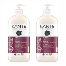 SANTE 상떼 GLANZ 패밀리 샤인 대용량 독일 샴푸 950ml x 2개 유기농 자작나무 식물성 단백질