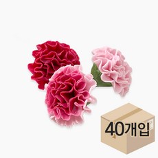 카네이션 머랭 x 색상선택 벌크 1박스(40개입), 810g