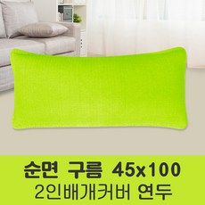 포근포그미2인용베게솜