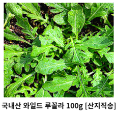 와일드루꼴라500g