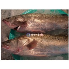 자연산농어(농어매운탕용) 1kg 농어회 생선찜 생선매운탕, 자연산농어(매운탕용)1kg, 1개