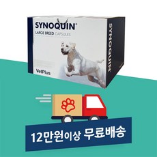 사이노퀸중형견