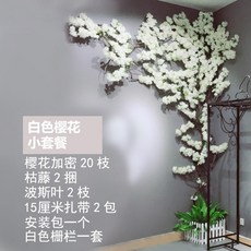 f003c3ebbf552c8e54beaf95f101fd0125cf6ebfad15129531daae685132.jpg