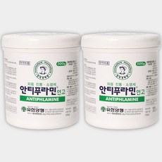 안티푸라민 500g x 2개 바르는 파스 진통소염제 대용량, 1통, 1개