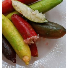 알이 톡톡 상큼한 국내산 핑거라임 캐비어라임, 2개, 냉동 500g