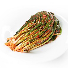 레알김치
 [레알김치] Real 전라도 파김치 1kg 1개