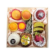 명절 설날 알찬과일세트 선물세트 혼합과일 A, 1개