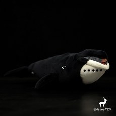 컬렉타북극고래