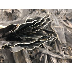 백령도다시마