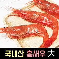 줄새우