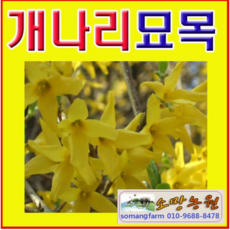 a9199e79e3e3b5ebd7f1fcc3532a6a7cdc815f3e3c9cbfedddb9bf431664.png
