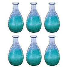 TOYO-SASAKI GLASS 토요사사키유리 주기 산호의 바다 도쿠리 일제 그린 약 290ml 6개입 WA165CB/EG, 6개