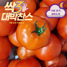 깜빠리토마토