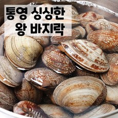 손질국산가리비