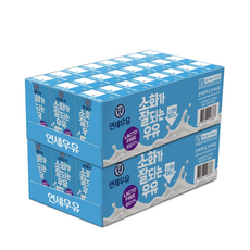 코스트코 연세 소화가 잘되는 멸균우유 190ml x 48개 무균 포장 우유