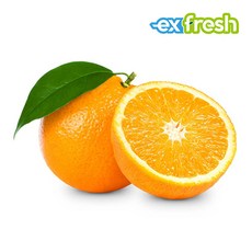 f2ae799500123811f176cde7d617d45396583a14596ff7ec22d69a8e8907.jpg