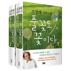 풀꽃도 꽃이다 1 2 세트 : 조정래 장편소설, 해냄, 조정래 저