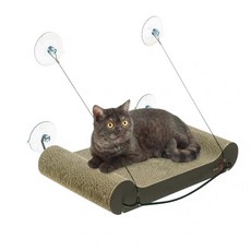 카즈미캡틴캠프코트