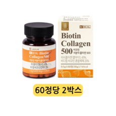 비디컬 비오틴 저분자 피쉬 콜라겐 500 펩타이드 엘라스틴 캡슐 영양제, 2정, 60개