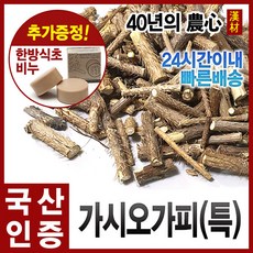 자애인- 토종가시오가피(특)600g 토종오가피 국산(충북제천), 600g, 1개