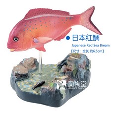 우리바다어류도감