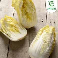 알베기배추박스