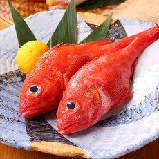손질 반건조 구이조림용 열기 불볼락 1kg 8-12미, 1개