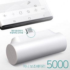 브라운앤프렌즈정글브라운보조배터리5000mah스틱