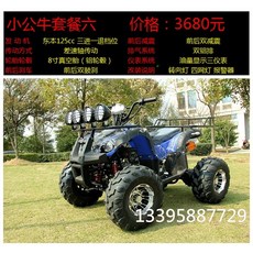 사륜오토바이 125cc ATV 농업용 사륜 다목적 타이어 팜트럭 전동차, 리틀 불 패키지 6