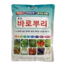 유일 바로뿌리 입제1kg 무 배추 토마토 마늘 고추 기비 추비 잔디 아미노산 비료, 1개