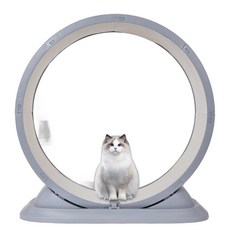 캣휠 장난감 베어링 쳇바퀴 고양이 캣휠무소음, A.80x33x85cm화이트, 1개