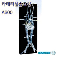 정맥주사연습 TOP01