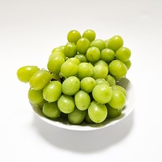 청포도-추천-상품