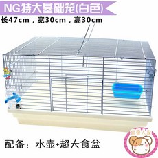 b87b9cf04a294820502feae1ab71ef4ea60e9dee6a27d6ab59a2999984b6.jpg