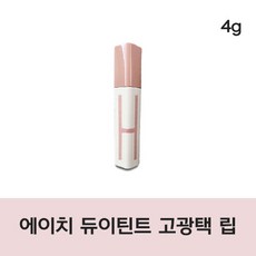에이치듀이틴트 TOP01