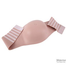 남편임산부체험