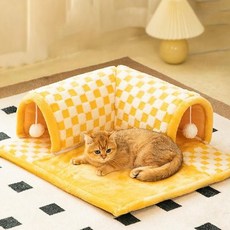  정글몬스터 이상한나라의 냥터널 